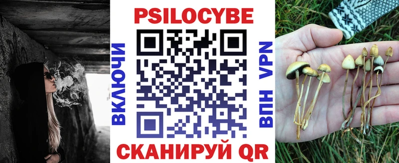 ОМГ ОМГ ТОР Арамиль Галлюциногенные грибы прущие грибы